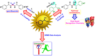 Graphical abstract: Catalytic I2-moist DMSO-mediated synthesis of valuable α-amidohydroxyketones and unsymmetrical gem-bisamides from benzimidates
