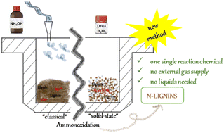 Graphical abstract: From liquid to solid-state, solvent-free oxidative ammonolysis of lignins – an easy, alternative approach to generate “N-lignins”