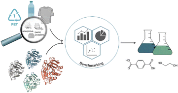 Graphical abstract: You get what you screen for: a benchmark analysis of leaf branch compost cutinase variants for polyethylene terephthalate (PET) degradation