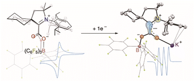 Graphical abstract: Single electron reduction of NHC–CO2–borane compounds