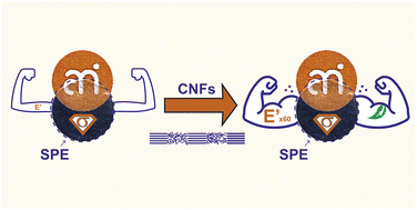 Graphical abstract: Cellulose nanofiber-reinforced solid polymer electrolytes with high ionic conductivity for lithium batteries