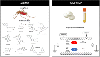 Graphical abstract: Antimalarial analysis of pharmaceutical formulations and biological samples by capillary electrophoresis: the state of the art and applications