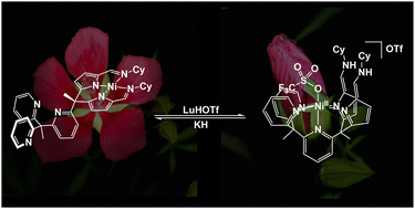 Graphical abstract: Synthesis and characterization of tetrapodal nickel complexes with adaptable ligand binding geometries