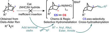 Graphical abstract: (NHC)Ni(ii)-catalyzed regioselective hydroalkenylation of norbornene derivatives: fine-tuning of NHC ligands and donor alkenes