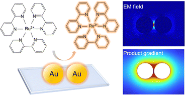 Graphical abstract: Nanostructure impact on electrocatalysis in gold nanodimers via electrochemiluminescence microscopy