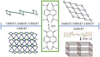 Graphical abstract: Coordination polymers constructed from bis-pyridyl-bis-amides and 1,4,5,8-naphthalenetetracarboxylic acid: ligand transformation and metal ion sensing