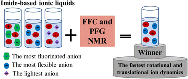 Graphical abstract: Dynamics of fluorinated imide-based ionic liquids using nuclear magnetic resonance techniques