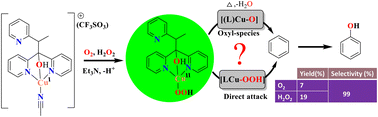 Graphical abstract: A bioinspired model for copper monooxygenase: direct aromatic hydroxylation using O2