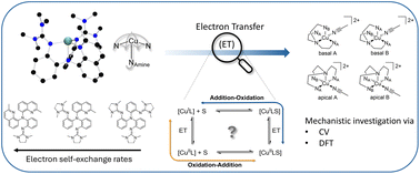 Graphical abstract: Electron transfer kinetics of a series of copper complexes with tripodal tetradentate guanidine quinolinyl ligands