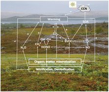 Graphical abstract: Carbon and nitrogen-based gas fluxes in subarctic ecosystems under climate warming and increased cloudiness