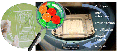 Graphical abstract: Sample-to-answer centrifugal microfluidic droplet PCR platform for quantitation of viral load