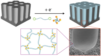 Graphical abstract: Cathodic electrodeposition of polymer networks as ultrathin films on 3-D micro-architected electrodes