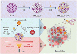 Graphical abstract: A graphene oxide-based sequential nanocatalyst for efficient tumor combination therapy