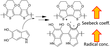 Graphical abstract: A synergistic radical concentration increase in eumelanin–PEDOT:PSS blends: mammalian pigment-based doping for thermopower improvement