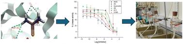 Graphical abstract: Rational design and in vitro testing of new urease inhibitors to prevent urinary catheter blockage
