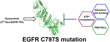 Graphical abstract: Next-generation EGFR tyrosine kinase inhibitors to overcome C797S mutation in non-small cell lung cancer (2019–2024)