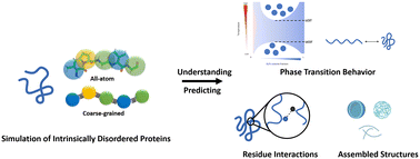 Graphical abstract: Toward understanding biomolecular materials comprising intrinsically disordered proteins via simulation and experiment