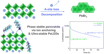 Graphical abstract: Phase stabilization via A-site ion anchoring for ultra-stable perovskite light emitting diodes