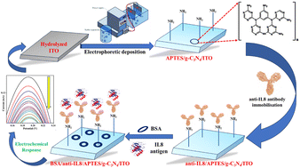 Graphical abstract: Functionalized graphitic carbon nitride as an efficient electro-analytical platform for the label-free electrochemical sensing of interleukin-8 in saliva samples