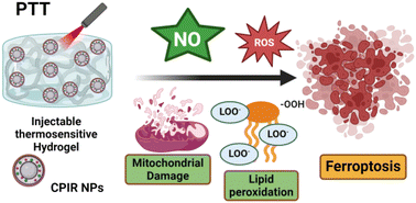 Graphical abstract: In situ thermosensitive H2O2/NO self-sufficient hydrogel for photothermal ferroptosis of triple-negative breast cancer