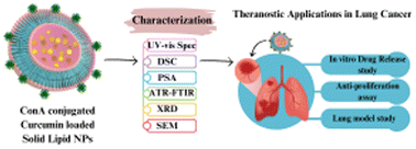 Graphical abstract: Fabrication and characterization of ConA-conjugated curcumin-loaded solid lipid nanoparticles for theranostic applications in lung cancer treatment