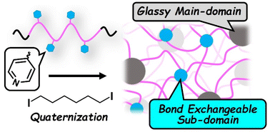 Graphical abstract: Designing dual-domain thermoplastic elastomers from ABA triblock copolymers: introducing bond-exchangeable subdomains into B-block strands