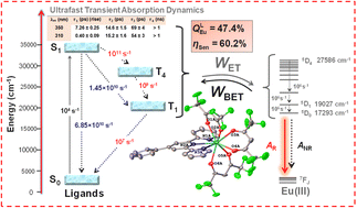 Graphical abstract: Deciphering intersystem crossing and energy transfer mechanisms in a nonacoordinated ternary europium(iii) complex: a combined spectroscopic and theoretical study