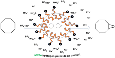 Graphical abstract: Amphiphobic surface-active ionic liquids as dynamic micellar phase-transfer catalysts for biphasic epoxidations