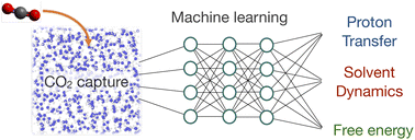 Graphical abstract: Machine learning demonstrates the impact of proton transfer and solvent dynamics on CO2 capture in liquid ammonia