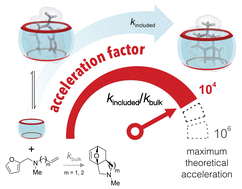 Graphical abstract: Investing in entropy: the strategy of cucurbit[n]urils to accelerate the intramolecular Diels–Alder cycloaddition reaction of tertiary furfuryl amines