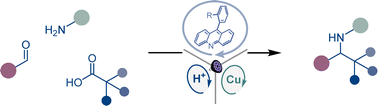 Graphical abstract: Acridine photocatalysis enables tricomponent direct decarboxylative amine construction