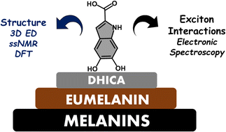 Graphical abstract: Electron diffraction and solid-state NMR reveal the structure and exciton coupling in a eumelanin precursor