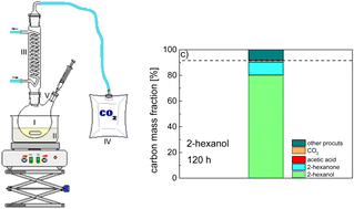 Graphical abstract: Thermo-oxidative aging of linear and branched alcohols as stability criterion for their use as e-fuels