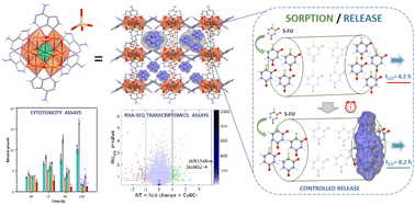 Graphical abstract: Drug-delivery and biological activity in colorectal cancer of a supramolecular porous material assembled from heptameric chromium-copper-adenine entities