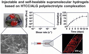 Graphical abstract: Injectable and self-healable supramolecular hydrogels assembled by quaternised chitosan/alginate polyelectrolyte complexation for sustained drug delivery and cell encapsulation