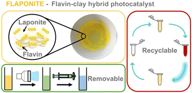 Graphical abstract: Flaponite: a recyclable heterogeneous flavin-based photocatalyst with LAPONITE® clay as an immobilisation scaffold