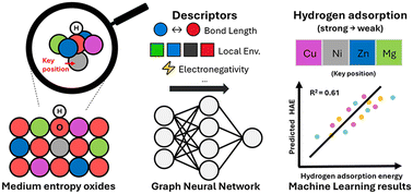 Graphical abstract: Computational insights into hydrogen adsorption energies on medium-entropy oxides