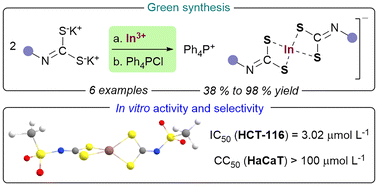 Graphical abstract: In(iii) complexes of sulfonyldithiocarbimates as selective antineoplasic agents against human colorectal adenocarcinoma