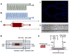 Graphical abstract: Oxygen-tunable endothelialized microvascular chip to assess hypoxia–reperfusion in sickle cell disease
