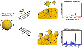 Graphical abstract: Highly sensitive SERS-active substrate with uniform gold nanostructures on heat-treated Ni foam for detection of cardiovascular disease biomarker