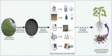 Graphical abstract: Morphological and chemical profiling of biochar derived from invasive aquatic weed towards bio-nanofertilizer development