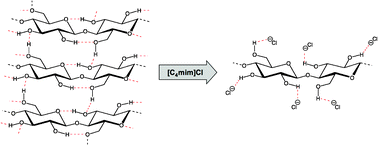 Graphical abstract: Mechanism of cellulose dissolution in the ionic liquid 1-n-butyl-3-methylimidazolium chloride: a 13C and 35/37Cl NMR relaxation study on model systems