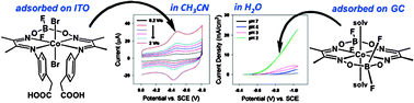 Graphical abstract: Hydrogen evolution by cobalt tetraimine catalysts adsorbed on electrode surfaces