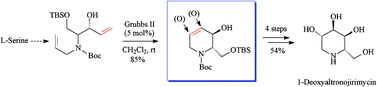 Graphical abstract: Targeted drugs by olefin metathesis: piperidine-based iminosugars