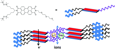 Graphical abstract: A liquid-crystalline perylene tetracarboxylic bisimide derivative bearing a triethylene oxide chain and complexation of the derivative with Li cations