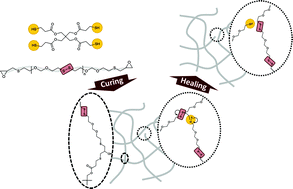 Graphical abstract: Self-healing systems based on disulfide–thiol exchange reactions