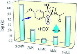 Graphical abstract: Cyclic 3-hydroxymelatonin, a key metabolite enhancing the peroxyl radical scavenging activity of melatonin