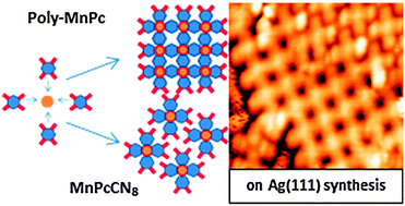 Graphical abstract: Step-by-step on-surface synthesis: from manganese phthalocyanines to their polymeric form