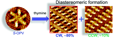 Graphical abstract: Affecting surface chirality via multicomponent adsorption of chiral and achiral molecules