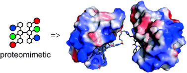 Graphical abstract: Multivalent helix mimetics for PPI-inhibition